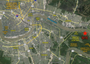 Photo courtesy of http://corp-realty.com/.