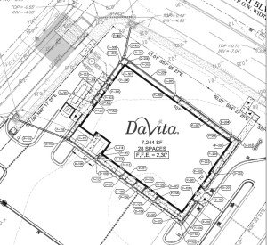 davita4